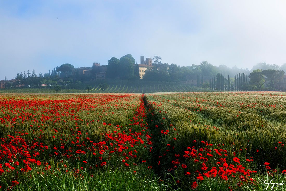 Toscana Photo